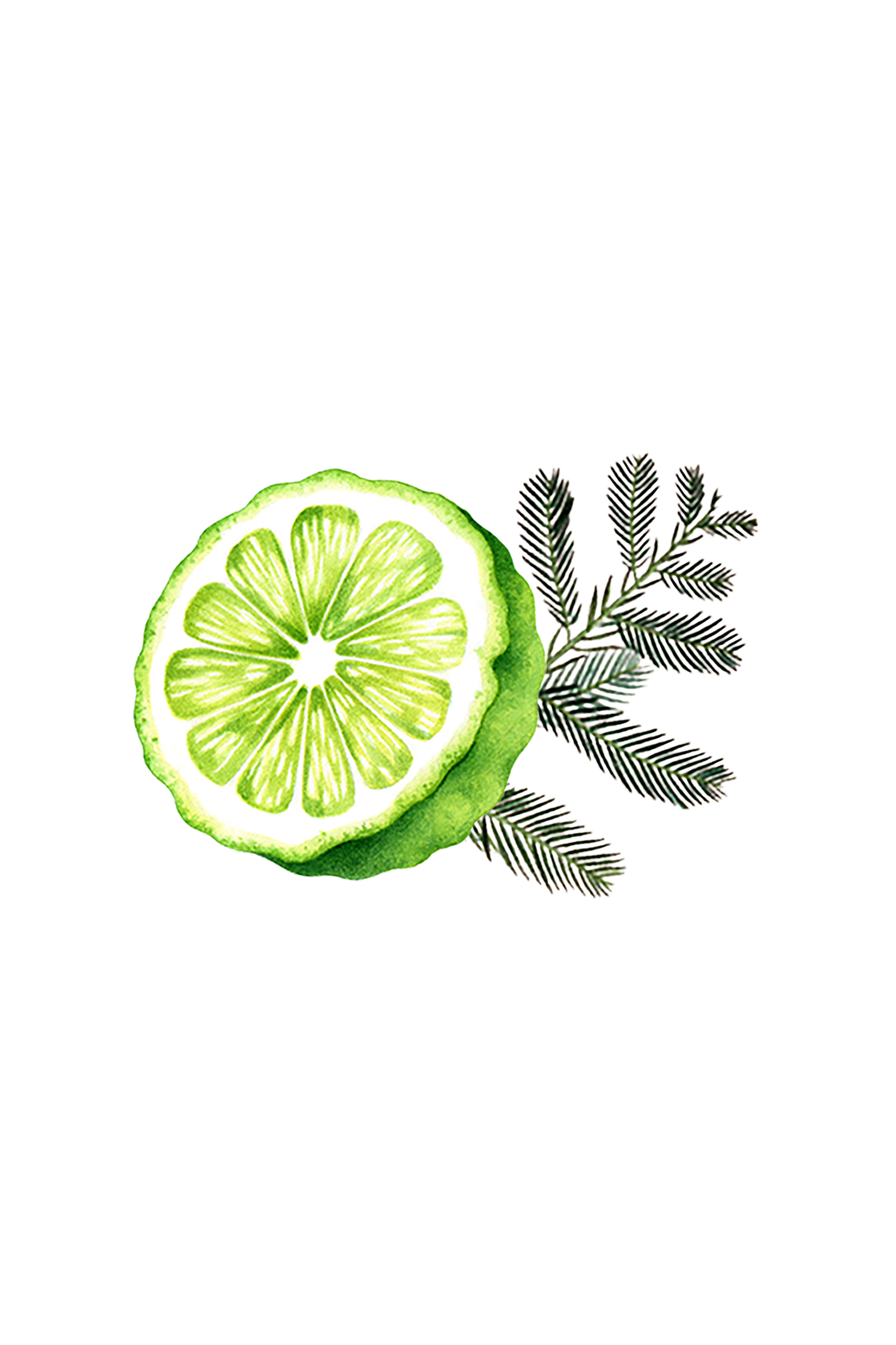 Bergamot & Cypress Essential Oil Blend